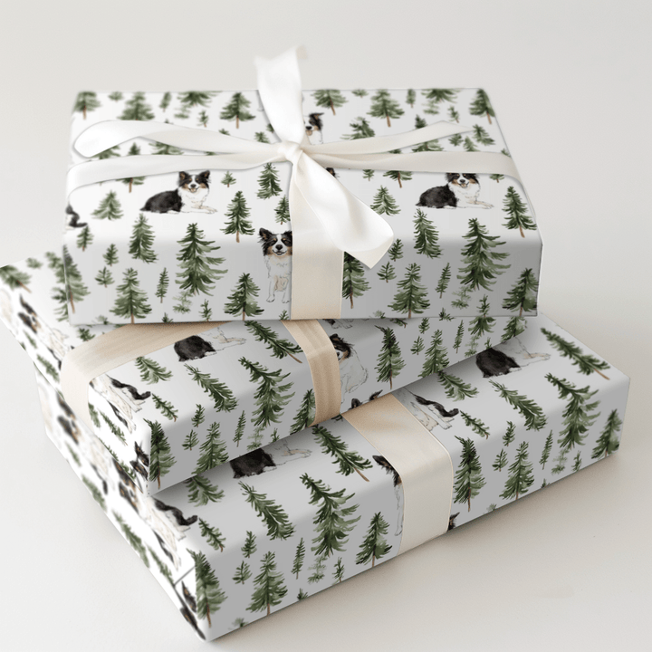 Snow Day for Border Collies - Wrapping Paper - Aspen & Arlo