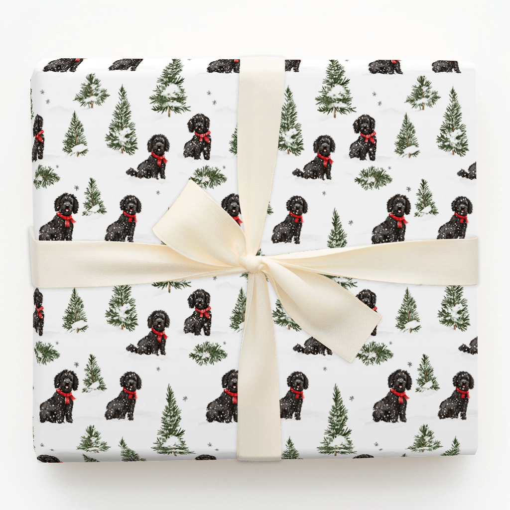 Snow Day for Joey - Wrapping Paper - Aspen & Arlo