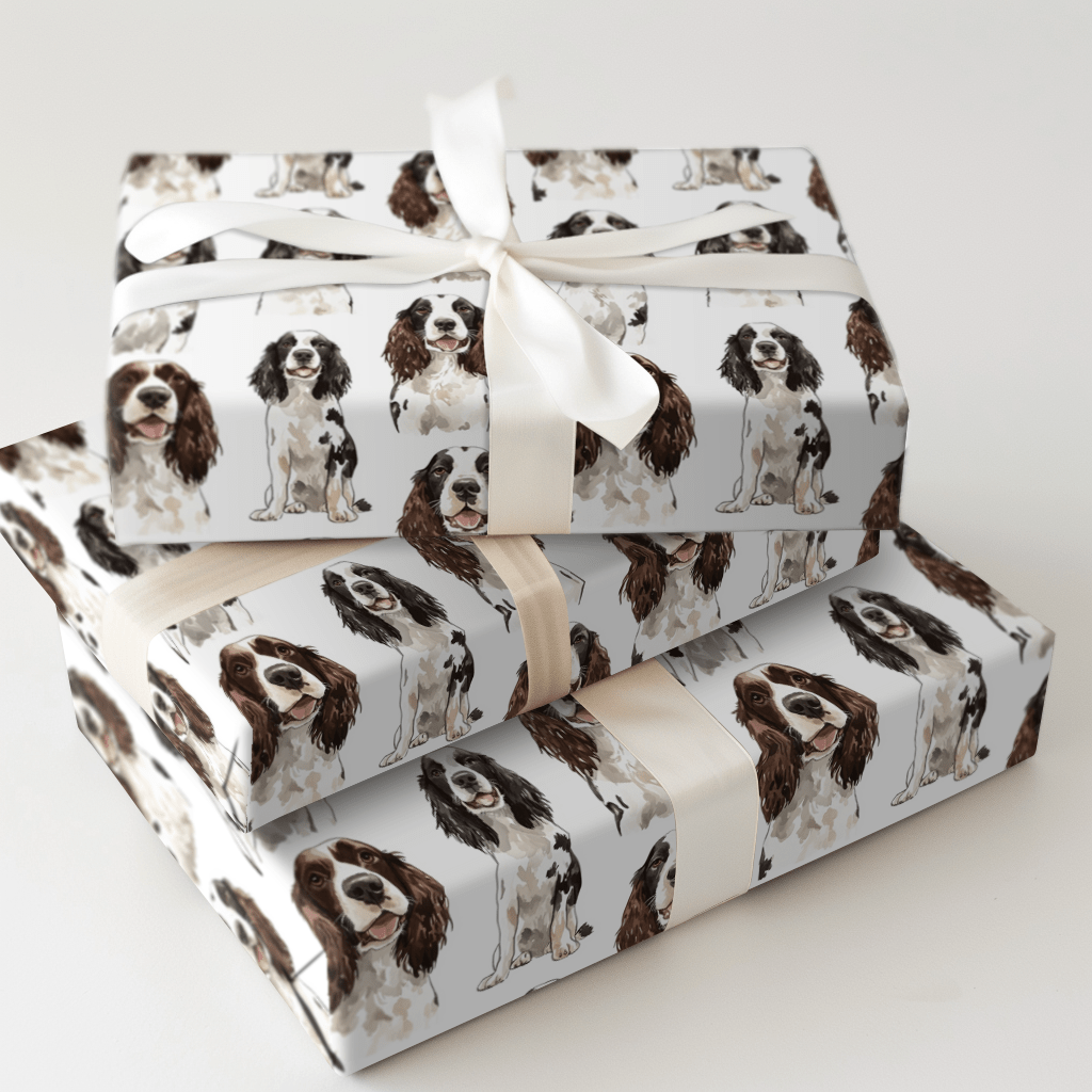 Springer Spaniel - Wrapping Paper - Aspen & Arlo