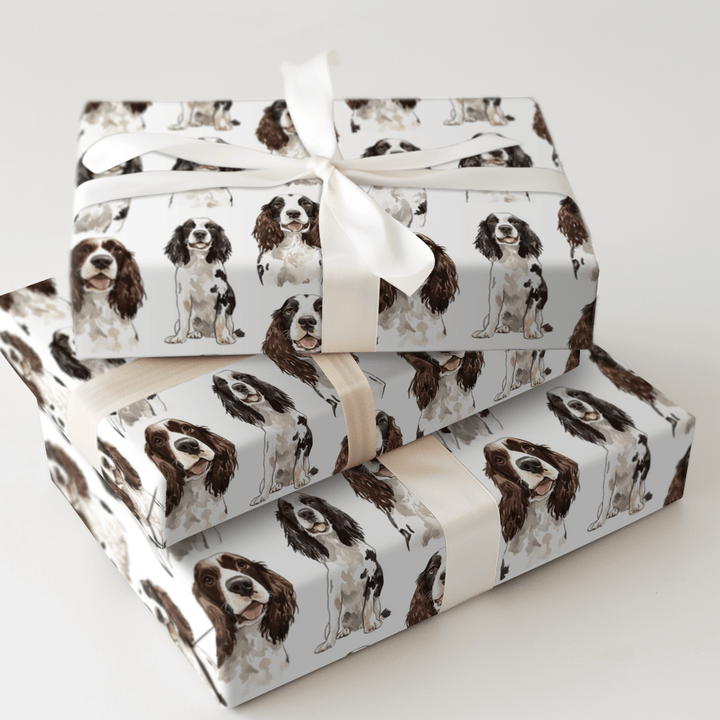 Springer Spaniel - Wrapping Paper - Aspen & Arlo